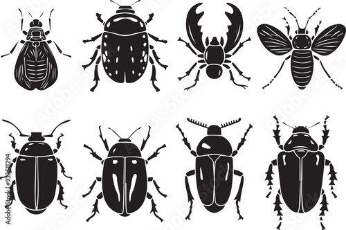A set of insects. Hand drawn vector illustration	