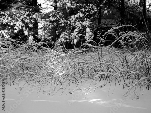 Christmas Holiday in Sherbrooke, Quebec. photo