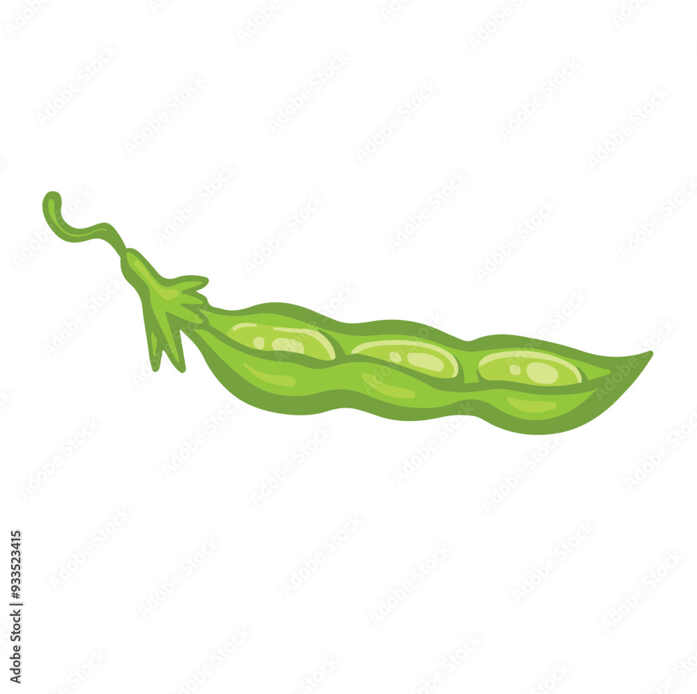 Green open pod of soybean or pea, vector Green open pod of soybean or pea, vector