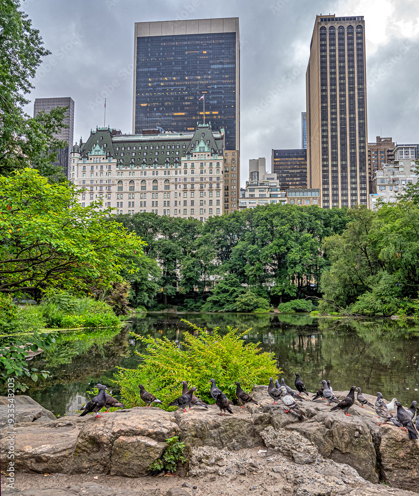 Fototapeta premium Central Park summer