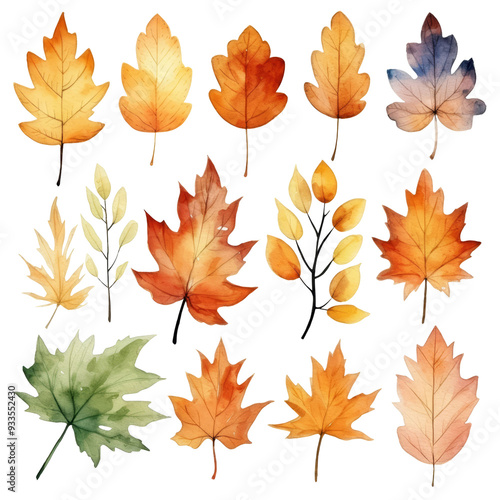 A collection of 12 watercolor autumn leaves in various shapes, sizes, and shades of yellow, orange, red, and brown. The leaves are isolated on a transparent background.