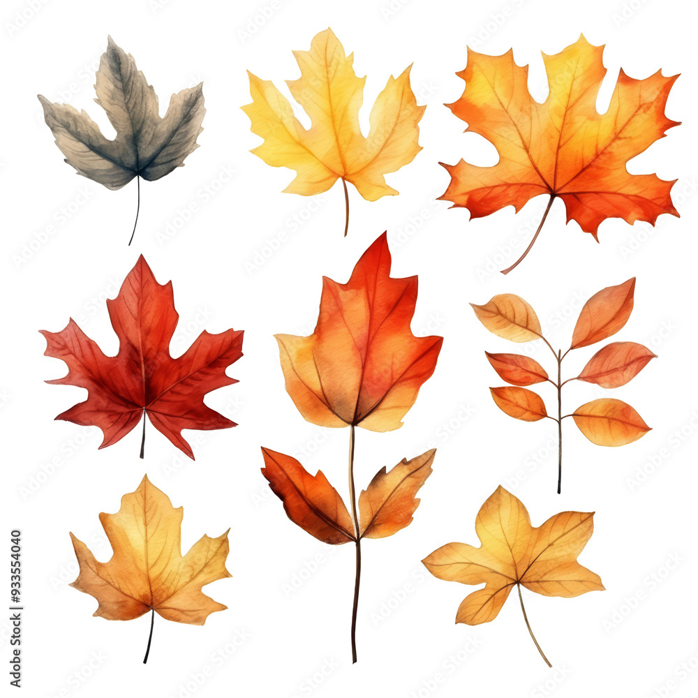 Obraz premium A collection of nine autumn leaves in various shades of red, orange, and yellow.
