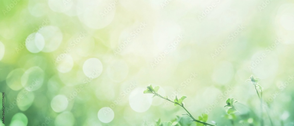 Fototapeta premium Blurred green foliage with bokeh light effect for a soft, peaceful atmosphere.