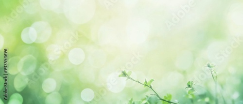 Blurred green foliage with bokeh light effect for a soft, peaceful atmosphere.