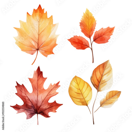 Four watercolor illustrations of autumn leaves in orange, yellow, and red hues on a transparent background.