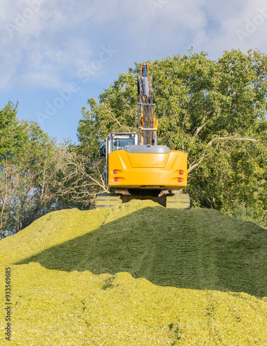 Bagger verteilt Mais auf einer Maissilage während der Maisernte  photo