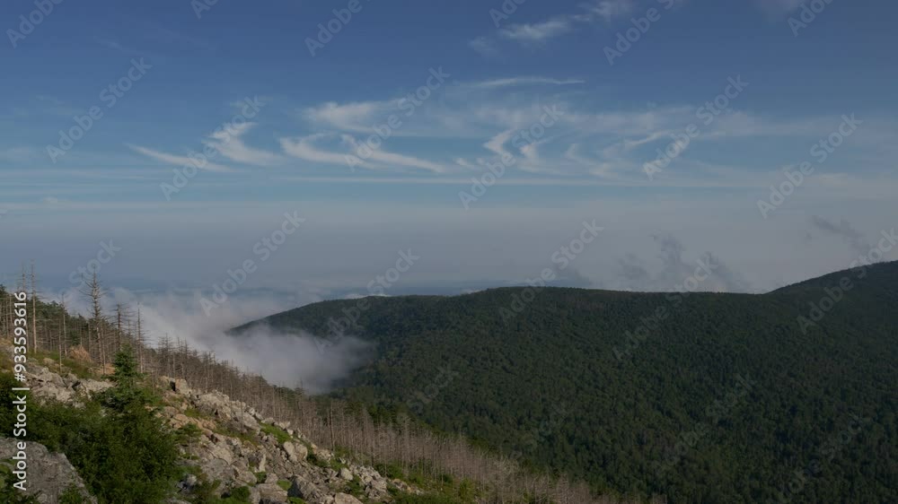 A burned forest in a mountain valley. Timelapse. A burned forest in a mountain valley. Timelapse.