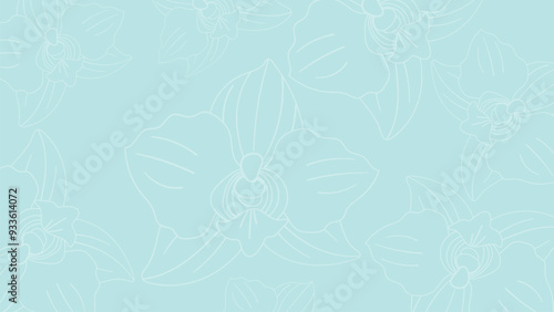 orchid flowers blue vector web background