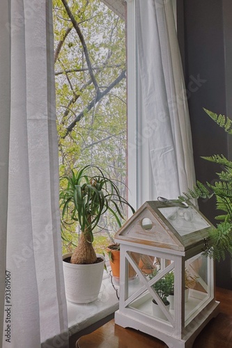 window with flowers