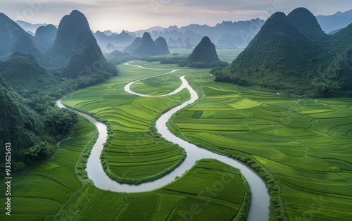 Aerial view of winding river through lush green rice terraces surrounded by mountains. Perfect for nature, agriculture, and travel themes. photo