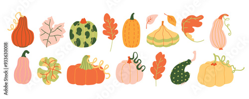 Autumn harvest various pumpkins and leaves hand drawn cute simple illustration collection. Trendy clip art set for children books stationery banners and social media