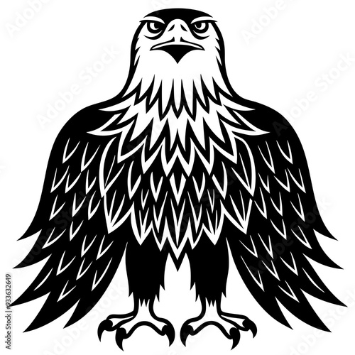 eagle vector illustration photo