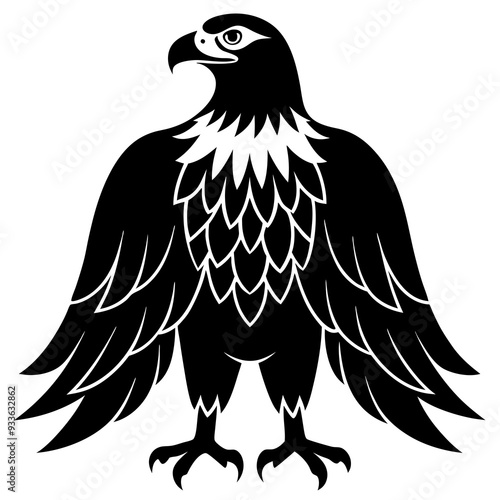 eagle vector illustration photo