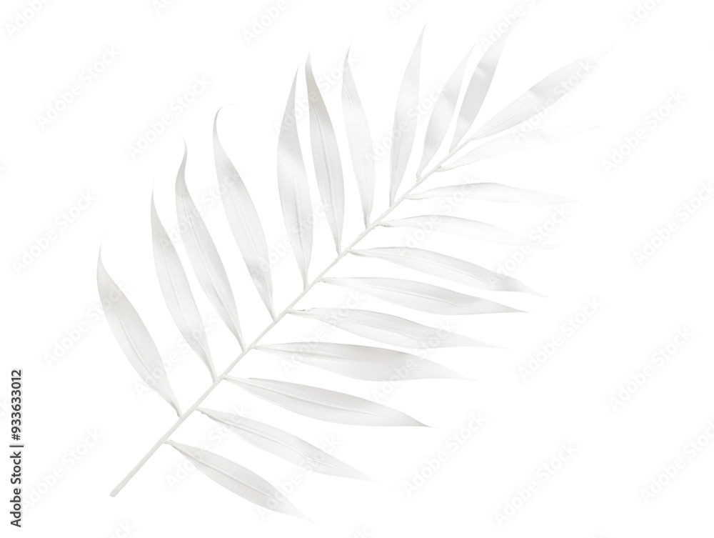 Fototapeta premium white leaf isolated on white or transparent png