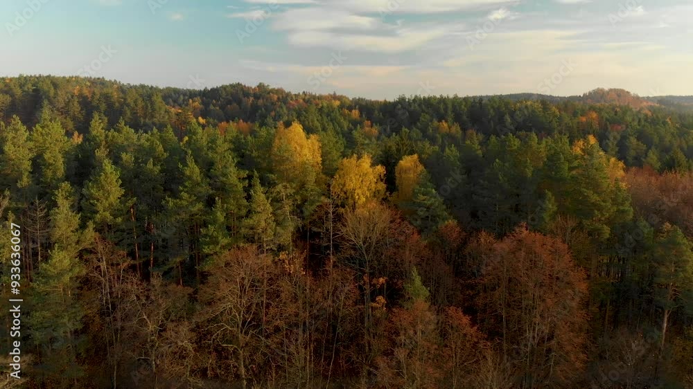 Beautiful forest scene in autumn with orange and yellow foliage. Aerial early morning view of trees and river. Fall city park scenery in Vilnius, Lithuania Beautiful forest scene in autumn with orange and yellow foliage. Aerial early morning view of trees and river. Fall city park scenery in Vilnius, Lithuania