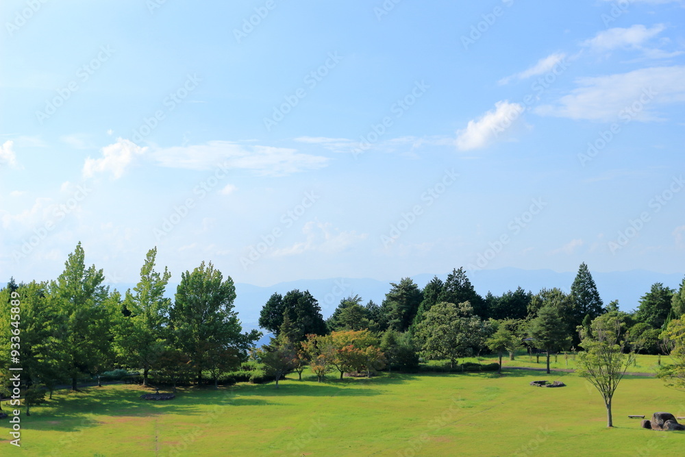 緑豊かな広い公園 緑豊かな広い公園