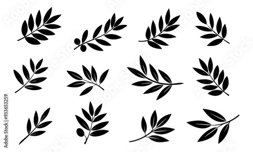 Set of olive branch silhouette vector illustration