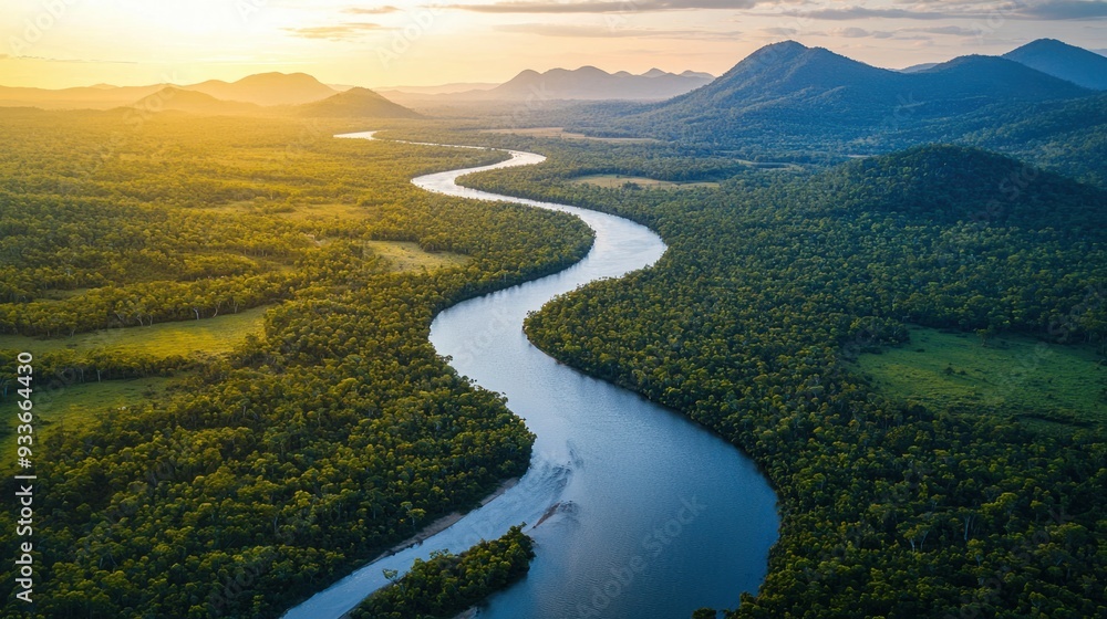 Serene Aerial View of a Winding River meandering through Lush Rainforest Canopy Serene Aerial View of a Winding River meandering through Lush Rainforest Canopy