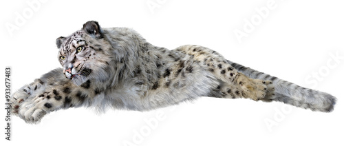 3D Rendering Snow Leopard on White