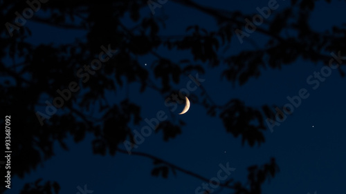 Bilde på lerret Crescent Moon, falling star, planet conjunction and landscape scenery silhouettes