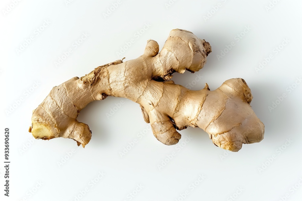 Ginger root isolated on white background, top view Ginger root isolated on white background, top view