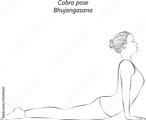 Sketch of young woman practicing Bhujangasana yoga pose. Cobra pose. Intermediate Difficulty. Isolated vector illustration.