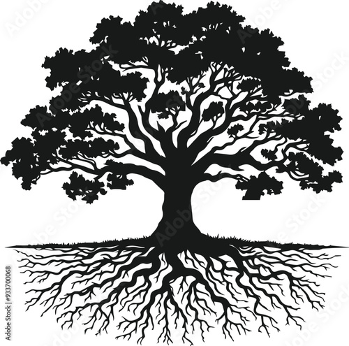 tree with roots silhouette Vector illustration isolated with transparent background