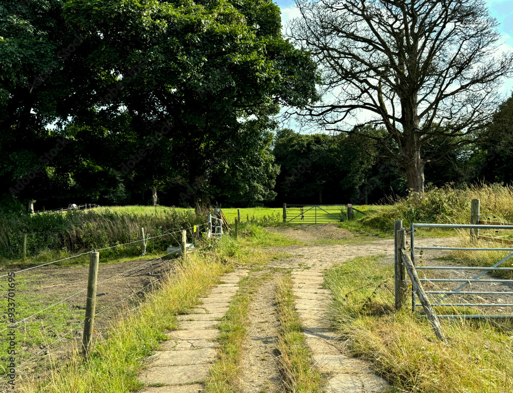 An grassy path winds past a metal gate, opening into a verdant field encircled by trees beneath a luminous sky. The fence and pastoral surroundings create a tranquil atmosphere in Mirfield, UK