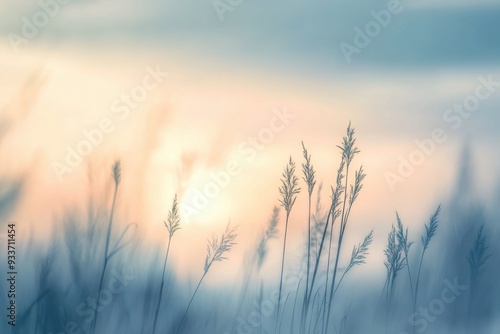 Serene grass blades in soft focus against a pastel sunrise sky, evoking calm and peace. photo