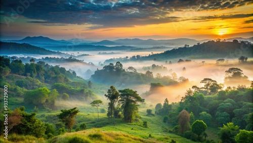 Serene misty dawn breaks over the lush green forests and rolling hills of Nameri National Park, a protected area in Assam, northeastern India. photo