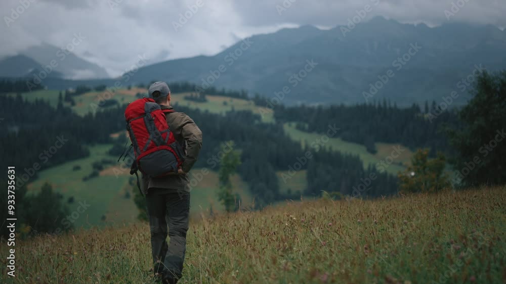 Back view following of young man backpacker walking on grass in hilly meadow overlooking mountain high peaks covered with rainy clouds, hiking in mountains, red backpack. Caucasian male explorer Back view following of young man backpacker walking on grass in hilly meadow overlooking mountain high peaks covered with rainy clouds, hiking in mountains, red backpack. Caucasian male explorer