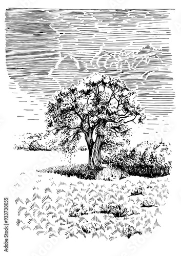 Rural landscape, tree. Vector hand drawn vintage engraved sketch.
