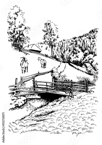 Rural scenery landscape panorama of countryside pastures. Green grass field on small hills. Vector sketch illustration
