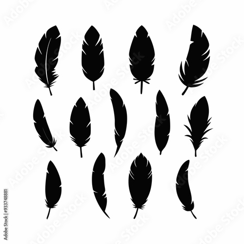 Set black feathers silhouettes on transparent background Decorative illustration for plotter cutting (30)