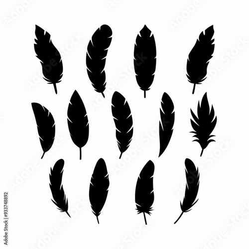 Set black feathers silhouettes on transparent background Decorative illustration for plotter cutting (31)