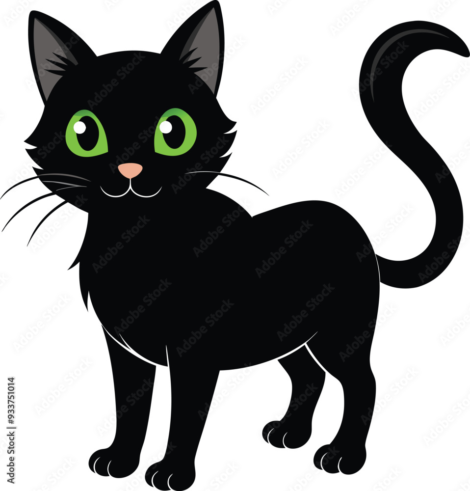 Black cat Black cat