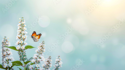 Wallpaper Mural Butterfly on flower with soft blue background Torontodigital.ca