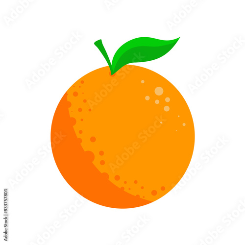 orange , fruit - vector illustration photo