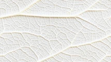 Close-up view reveals delicate white leaves with transparent veins layered gracefully on a soft beige background, emphasizing their fine textures SEAMLESS PATTERN