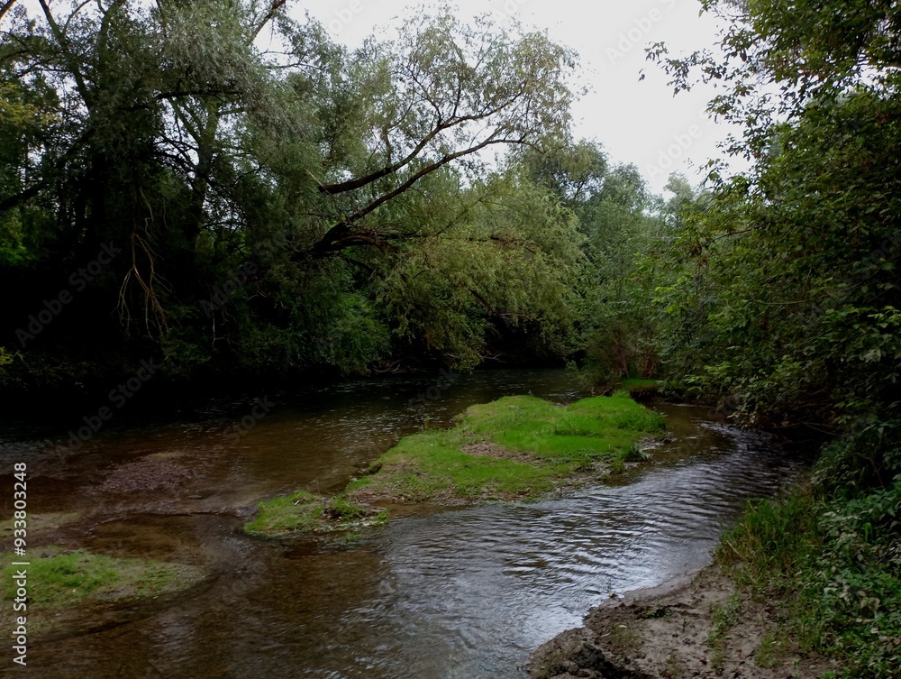 A shallow river with clear, clean water and a fast current, in the middle of which is a grassy green island. A shallow river with clear, clean water and a fast current, in the middle of which is a grassy green island.