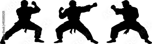 silhouettes of karate fighting,vector illustration karate