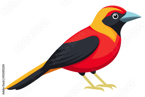  Brazilian tanager vector art illustration photo