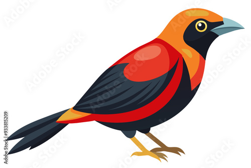  Brazilian tanager vector art illustration photo