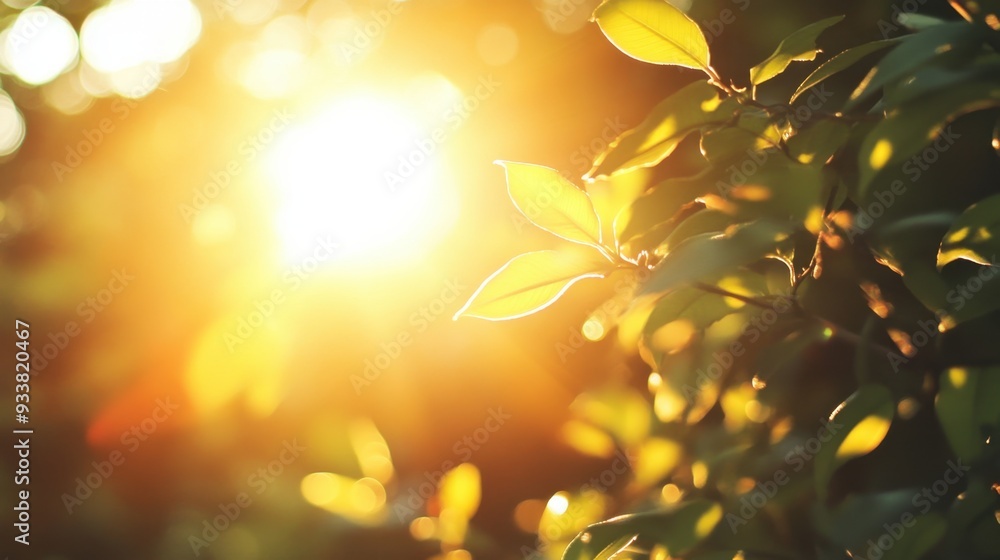 Sun lens flare overlay in a minimalistic scene, soft warm light effect, evoking hope and warmth. Sun lens flare overlay in a minimalistic scene, soft warm light effect, evoking hope and warmth.
