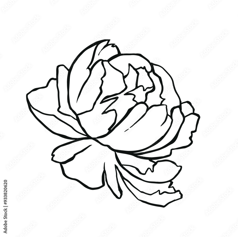 Linear outline peony flower tattoo Linear outline peony flower tattoo