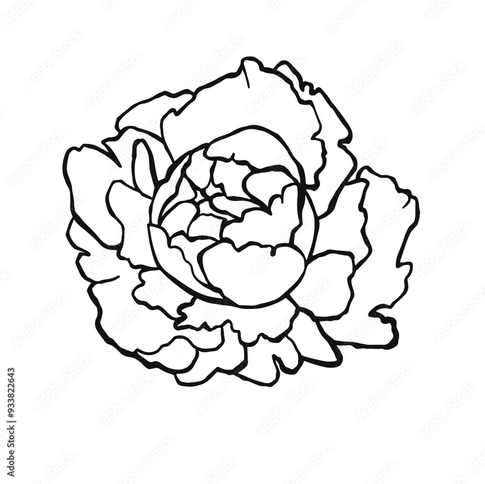 Flower tattoo outline peonies line monochrome Flower tattoo outline peonies line monochrome