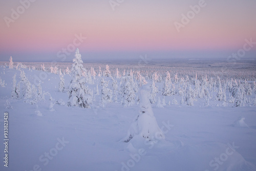 Winter landscape in Lapland, Finland