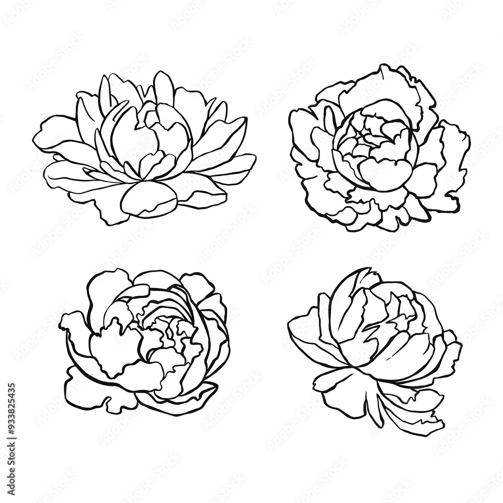 Set of linear outline peonies Set of linear outline peonies