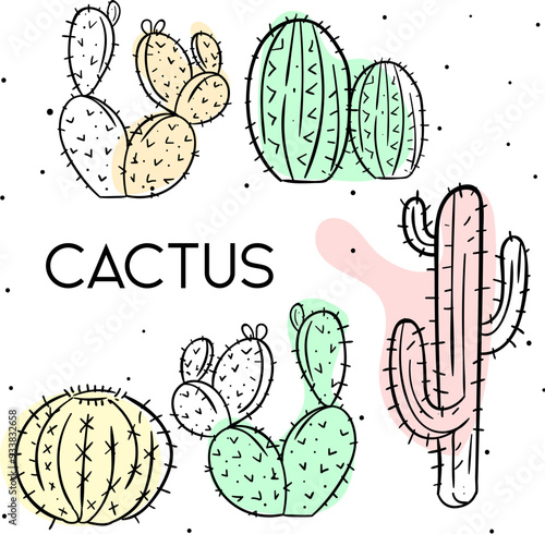 Minimalist Cactus Illustrations: Botanical Line Art