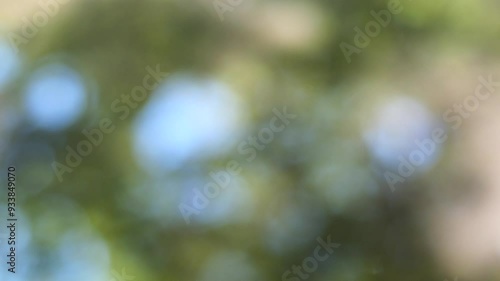 Vintage lens bokeh, retro, nature, blur, defocus, glare, calm, beautiful, abstraction, background, bright, summer, park, Europe, France